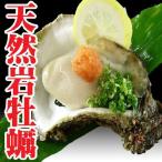 Yahoo! Yahoo!ショッピング(ヤフー ショッピング)天然岩ガキ 山形県産 300ｇ前後 カラ割り　大１個 生食用 岩牡蠣 岩がき お中元 ギフト 贈答
