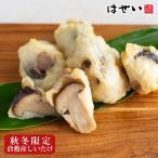 さつま揚げ おでん 選味素材 倉敷し