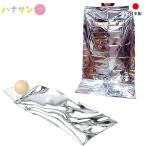 災害 防災 グッズ 空気枕付 防災アルミ蒸着 寝袋 石崎資材 簡易 アルミ 毛布 ブランケット 車載 蒸着 保温 非常用 車載 ネコポス対応250円