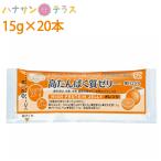 介護食 高たんぱく質ゼリー オレンジ 15g×20本 林兼産業 日本製