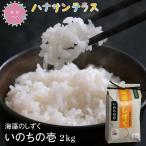 【新米】令和7年産 米 