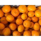 ショッピング甘平 甘平 家庭用 10kg