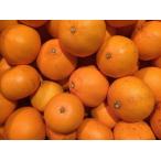 施設せとか S〜M ５kg