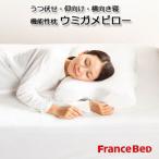 フランスベッド うつ伏せ 仰向け 横向き寝 低反発枕 ウミガメピロー 高さ調節可能な 茶カテキン入り 低反発枕