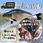 鯉の輪切り 中サイズ 1匹 活鯉時1.2〜1.4kg 厚さ選択可 食用鯉 切り身 コイ こい 販売 鯉こく用 煮付け用 糖醋鯉魚 当日発送可