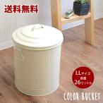 規格変更しました。カラーバケツ LL フタ付き レトロでオシャレなバケツ・ゴミ箱 ダストボックス スチール 26L 取っ手付き 送料無料