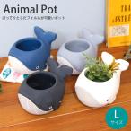CN31 кит pot 25L кит горшок цветочный горшок горшок покрытие посадочная машина садоводство двор растения под старину 