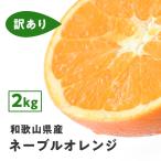 FD01 есть перевод местного производства ne-bru Wakayama префектура производство 2Kg.. есть не комплект . для бытового использования .... orange сок . дом для .. было использовано фрукты фрукты бесплатная доставка 