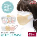 ZA155　2D　Fit up　マスク　49枚入り　立体マスク　小顔　キレイマスク　不織布　血色マスク　使い捨て　レディース　NE　メール便送料無料