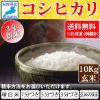 令和3年新米 滋賀県産コシヒカリ10kg玄米 【精米方法が選べます】 お好きな分つきに  送料無料※一部除く