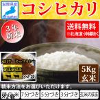 Yahoo! Yahoo!ショッピング(ヤフー ショッピング)近江牛カレー160ｇ2袋付き 令和4年新米  滋賀県産コシヒカリ5Kg玄米 【精米方法が選べます】 お好きな分つきに 健康応援 送料無料※一部地域を除く