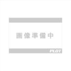バイクパーツ 外装 プーチ サイドダウンフォースネイキッドスポイラー 20832N