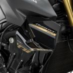バイクパーツ 外装 プーチ スポイラーD12 Graphics 22384S