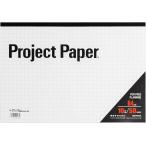 okina диаграммная бумага Project бумага B4 10mm person глаз .50 листов PPB40S 10 мм person глаз 