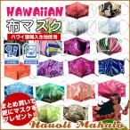 マスク ハワイアン 不�
