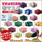 マスク ハワイアン 不�