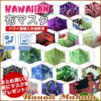 マスク ハワイアン 不�