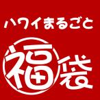 ライオンコーヒーグッズ 福袋  閉店セール 送料無料 LION COFFEE