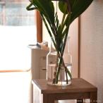 フラワーベース ガラス リューズガラスの花瓶 ネック ガラスベース 花瓶 枝物 大きい おしゃれ 透明 クリア 北欧 ギフト 母の日 贈り物