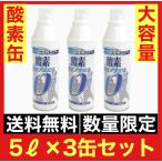 【まとめ買い】酸素缶 ３缶セット　日本製　携帯酸素 5L XTS エックスティーエス 　酸素携帯スプレー 　※送料無料　(北海道、離島一部を除く）