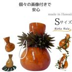 イプ Sサイズ フラ フラダンス 楽器 ハワイ ハワイアン 打楽器 フラ楽器 ハワイ直輸入 IPU 送料無料 パーカッション レオレア 小さめ 軽め 子供用 ケイキ