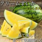 クリームスイカ/黄肉すいか