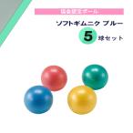 ダンノ DANNO ソフトギムニク ブルー 