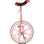 eba новый EVERNEW [ производитель прямая поставка товар ] тачка воздушный шина 20 начальная школа средний учебный год старшие классы пастель style воздух примечание входить тип школа развлечение reklie-shon гимнастика тренировка выходной час 