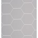 eba новый EVERNEW в общем футбольные врата сеть черепаха .S116 EKD842