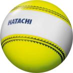 ハタチ HATACHI ナビゲーションボール  BH3851 45