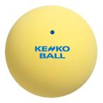 ケンコー KENKO ソフトテニスボールスタンダード イエロー 1ダース 12球 練習球 バルブエア式 天然ゴム 練習 部活 クラブ チーム 新入部員 合宿  TSSY