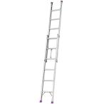 ALINCO(アルインコ) ハンディーロックラダー 3.4m ANP34F　法人様限定