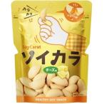 ソイカラ　SoyCarat　１８袋入（ケー