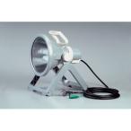 ハタヤ 防雨型蛍光灯投光器 業務用プロライト・ライト 52W 電線5m PL52