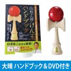福祉けん玉 大晴 ハンドブック＆DVDセット スポーツ リハビリ トレーニング 玩具 日本けん玉協会推奨品 敬老の日 運動
