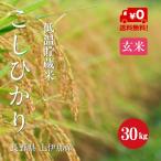 令和５年産 長野県 上伊那産 こしひかり １等米 玄米 ３０kg　