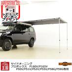  твердый cargo боковой навес Probox багажник для Toyota Probox P160V P165V P50V P51V P52V P55V P58G P59G HARD CARGO HC-251-252-253. покупка 