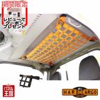  срок поставки нерешительный твердый cargo крыша сеть цвет черный Daihatsu Hijet jumbo S500P S510P 2021 год 12 месяц после модель перемена после для для легких грузовиков HC-531