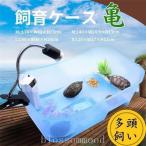 【値下げ】亀の水槽 両生類 カメの楽園 飼育ケース ボックス タートルタンク 日向ぼっこ台 ミドリガメ クサガメ スッポン 観察 排水孔 階段 エサ皿 大 特大