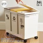ゴミ箱 分別 3分別 2分別 資源ごみ箱 横型 ダストボックス スリム 台所 キッチン おしゃれ 大容量 ワンプッシュ 台車 取り外せる ごみ分別