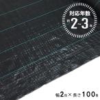 防草シート 2〜3年 2m×100m ブラック (法人限定) (防 草 シート 農業 防草 庭 園芸 抑草 法面 畑 ハウス 露地 道路 シンセイ) 爆買