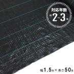 防草シート 2〜3年 1.5m×50m ブラック (法人限定) (防 草 シート 農業 防草 庭 園芸 抑草 法面 畑 ハウス 露地 道路 シンセイ) 爆買