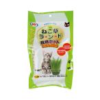 ne.. Land культивирование комплект NyanTaste 3 выпуск ( культивирование комплект кошка . кошка для кошка для шерсть шар уход шерсть шар . предотвращение натуральный домашнее животное f-z)