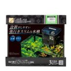  аквариум комплект Regulus F-25S/B фильтр - Z25 (W250×D160×H220mm) 8L (REGLASS основной комплект 25cm маленький размер аквариум тропическая рыба аквариумная рыбка аквариум Kotobuki прикладное искусство )