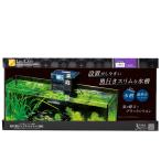  аквариум комплект Regulus F-60S/B фильтр - Z30 (W600×D200×H280mm) 29L (REGLASS основной комплект 60cm аквариум тропическая рыба аквариумная рыбка аквариум Kotobuki прикладное искусство )