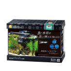  аквариум LED комплект Regulus F-400SH/B фильтр - Z30 (W400×D160×H280mm) 15L (REGLASS основной комплект 40cm аквариум тропическая рыба аквариумная рыбка аквариум Kotobuki прикладное искусство )