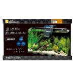  аквариум LED комплект Regulus F-600SH/B фильтр - Z40 (W600×D200×H360mm) 38L (REGLASS основной комплект 60cm аквариум тропическая рыба аквариумная рыбка аквариум Kotobuki прикладное искусство )