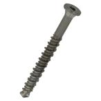 ステンウッドデッキ用ねじ 5.5×55mm 100本入 - (ネジ ステンレス デッキビス 人工木 硬い木材用 建築 DIY 八幡ねじ)(ポイント利用)