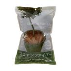  Pro to leaf здесь cocos nucifera волокно натуральный 100g