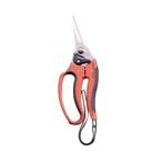 ( почтовая доставка бесплатная доставка ).. промышленность золотой Zojirushi мой Fit сад .MF-140